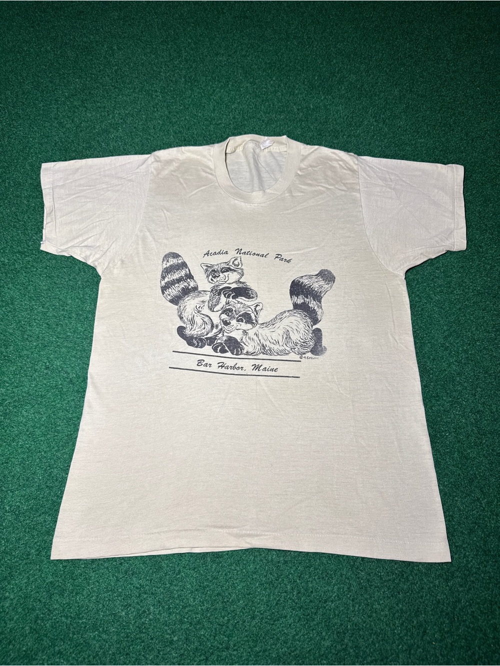 Acadia National Forest Vintage T Shirt 70s 80s Bar Harbor Maine M/L 19x26 Racoon